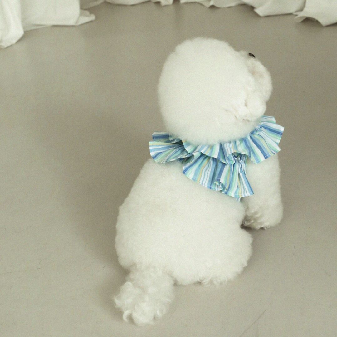 【予約】capeness - stripe blue