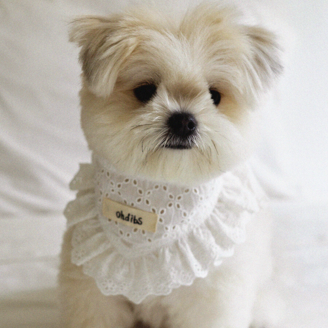 【予約】Manon Kerchief