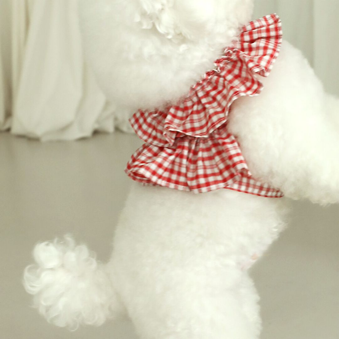 【予約】capeness - Red