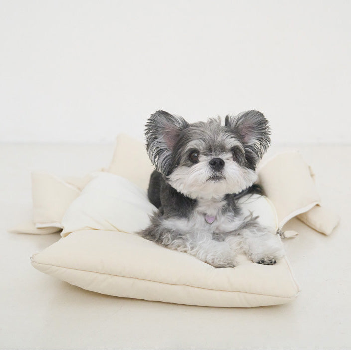 【予約】open bag - ivory [APERTY]