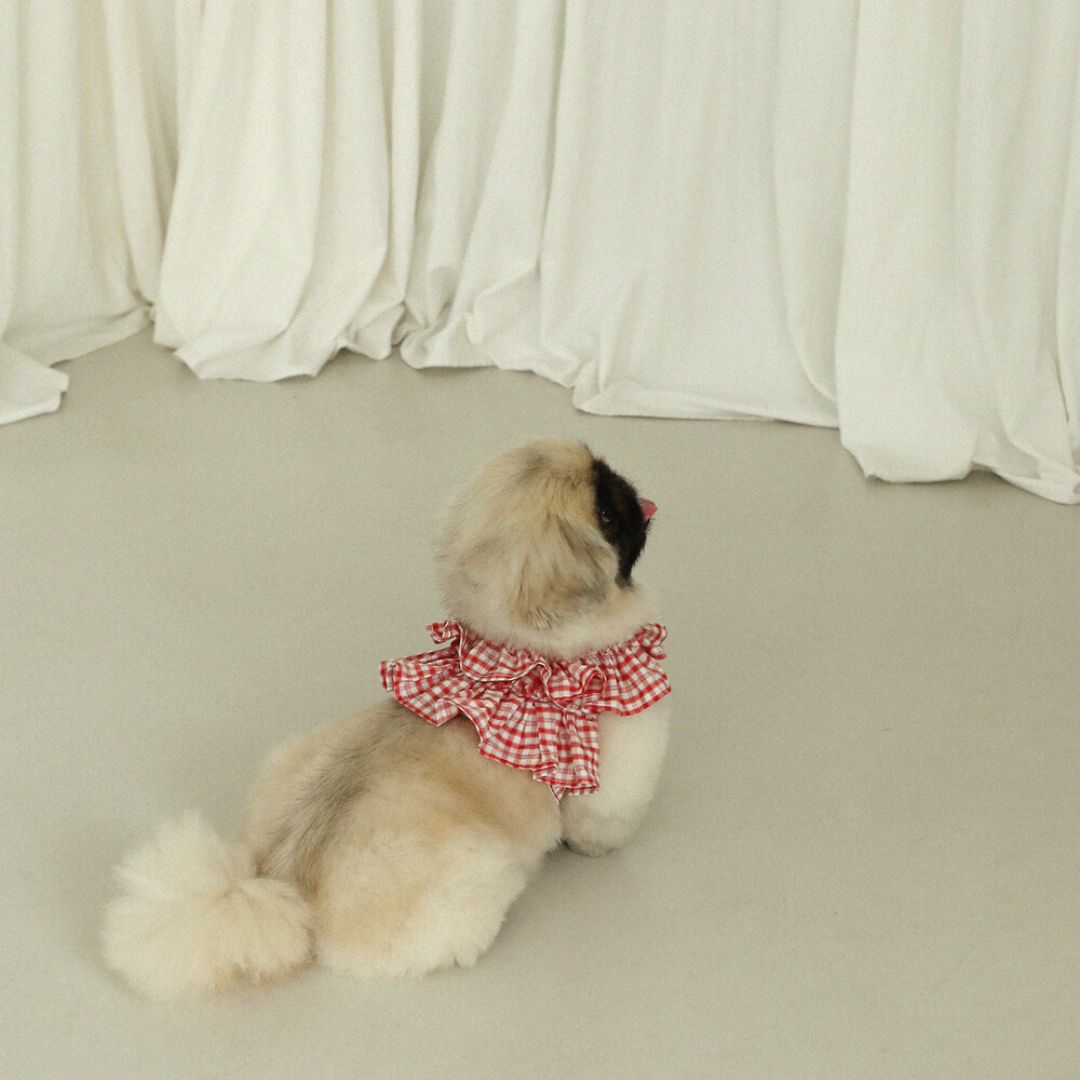 【予約】capeness - Red