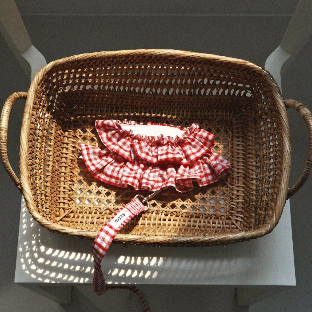 【予約】capeness - Red leash