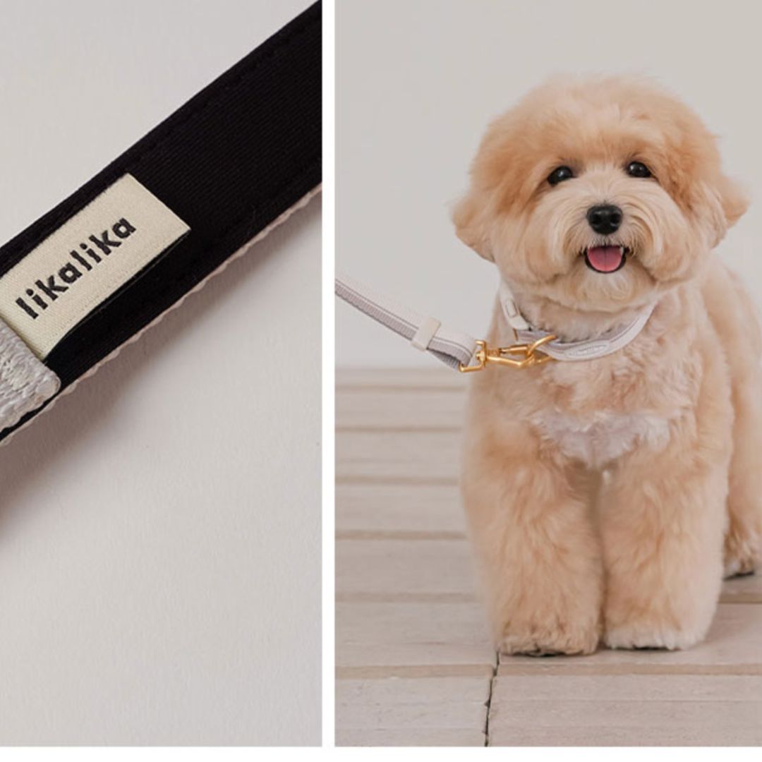 【 likalika 】breezs walk hands free leash（3color）