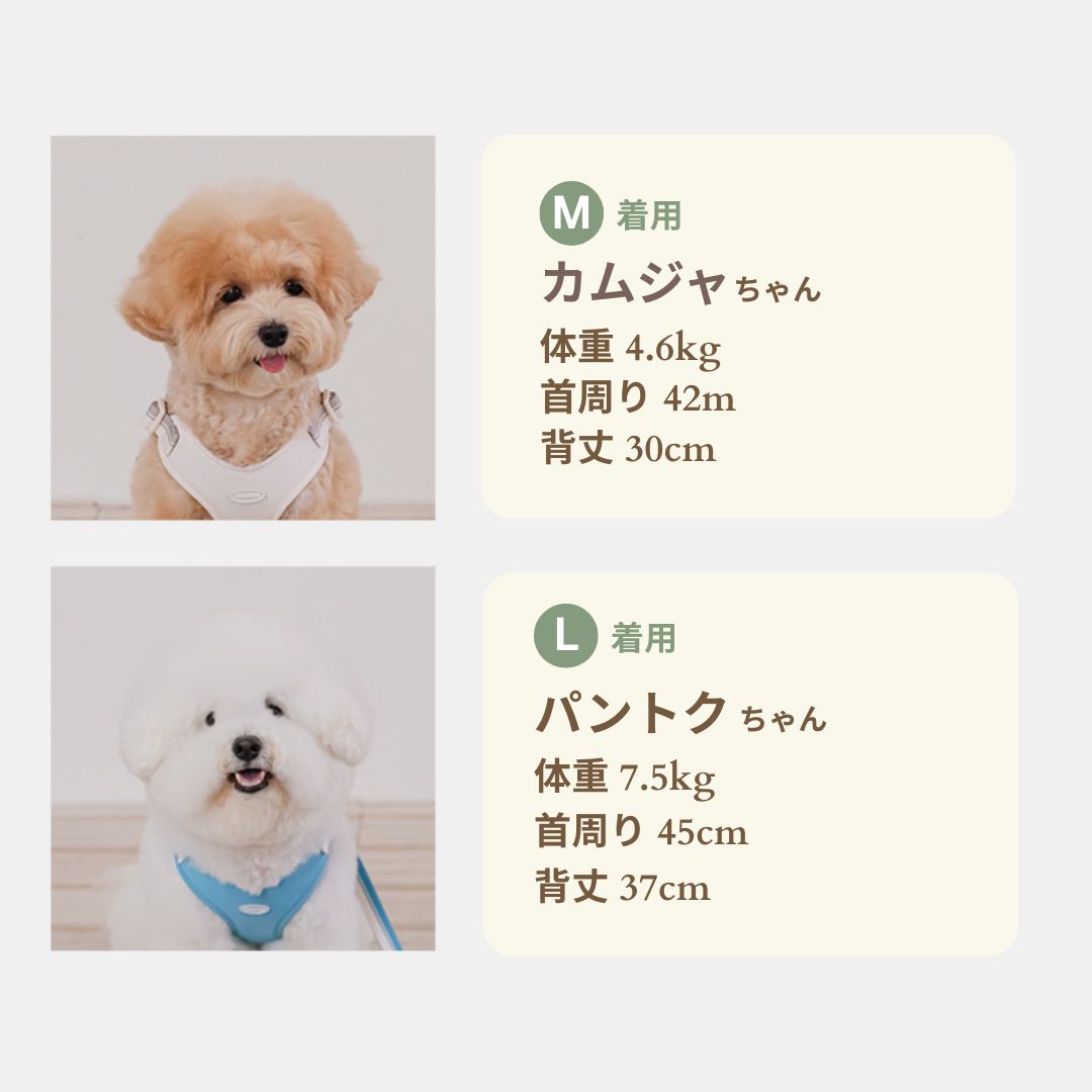 【 likalika 】breeze walk harness（3color）