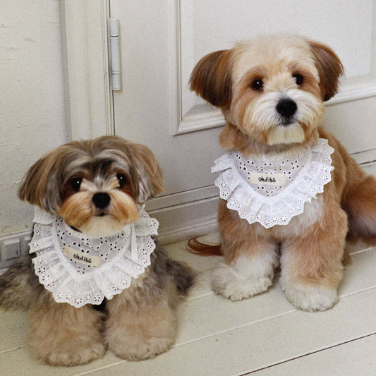 【予約】Manon Kerchief