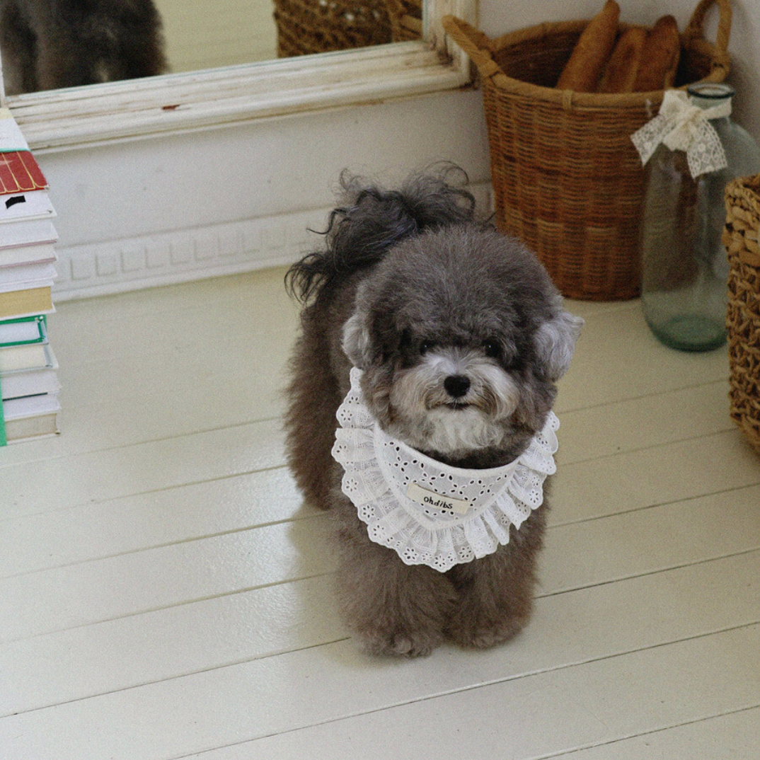 【予約】Manon Kerchief