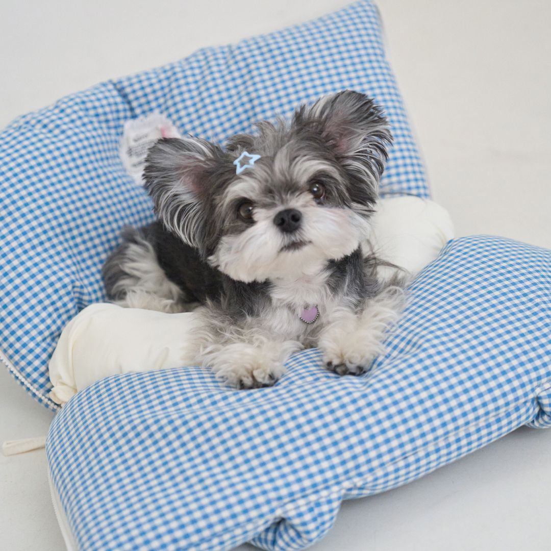 【予約】wide bag - plaid blue [APERTY]