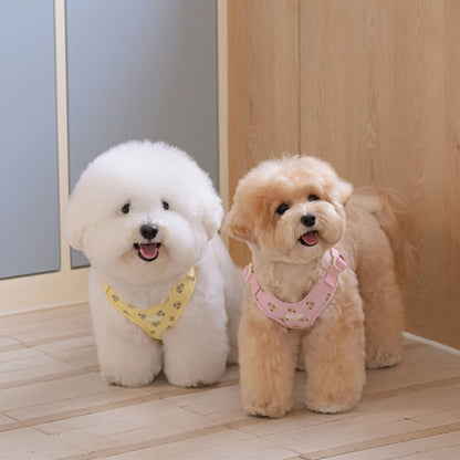 【 likalika 】bear bebe harness（3color）