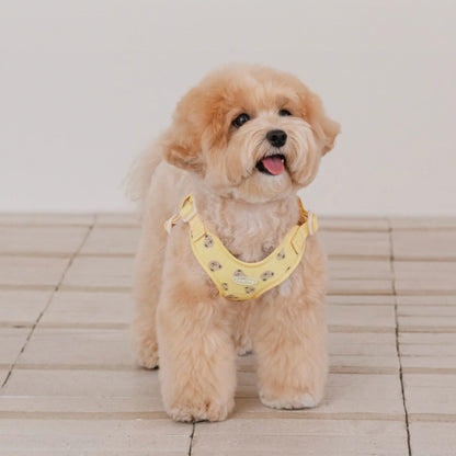 【 likalika 】bear bebe harness（3color）