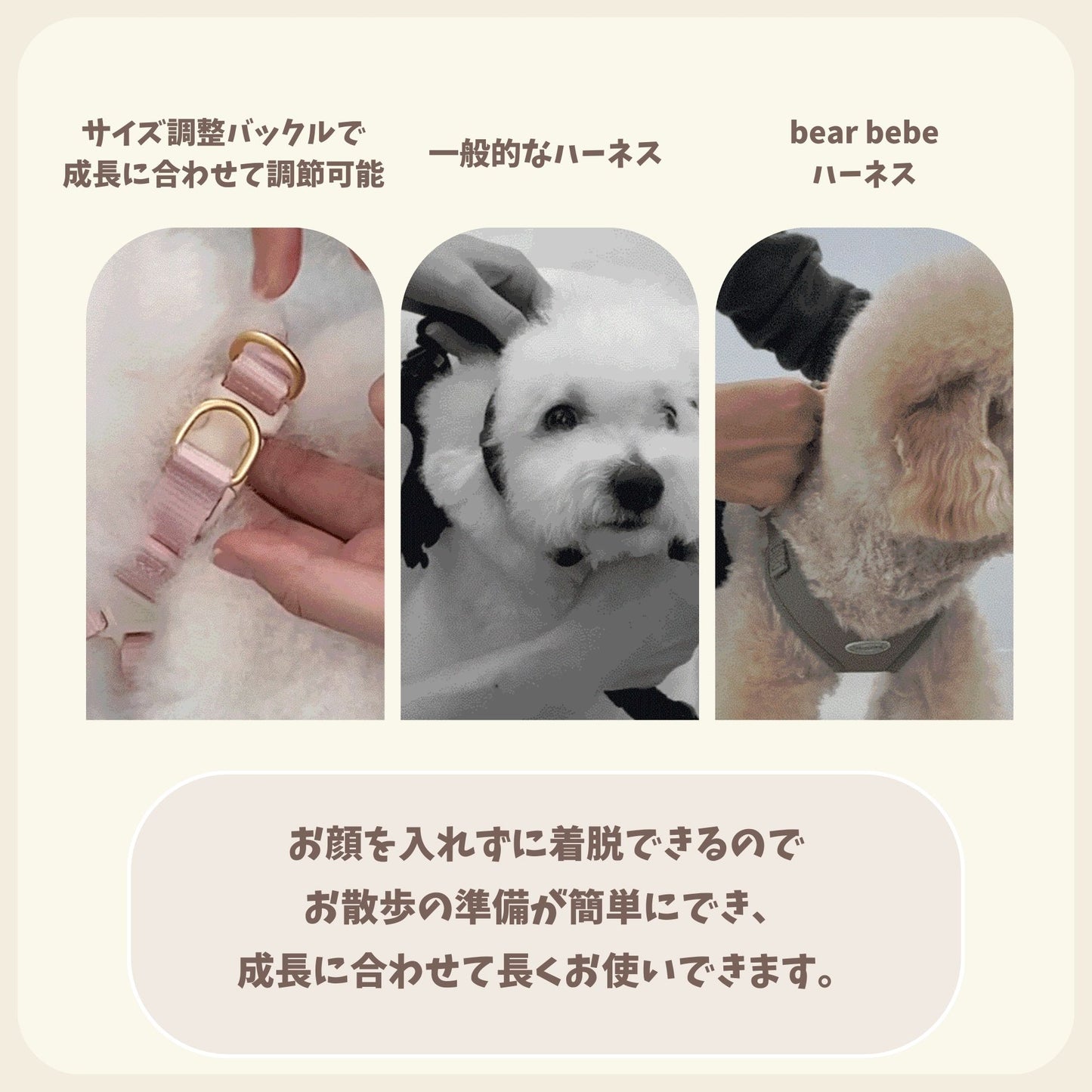 【 likalika 】bear bebe harness（3color）