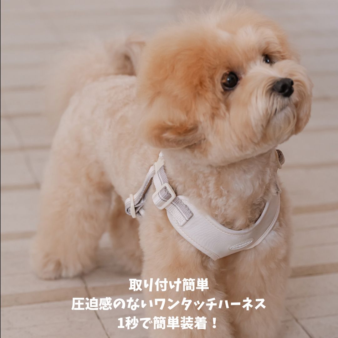 【 likalika 】breeze walk harness（3color）