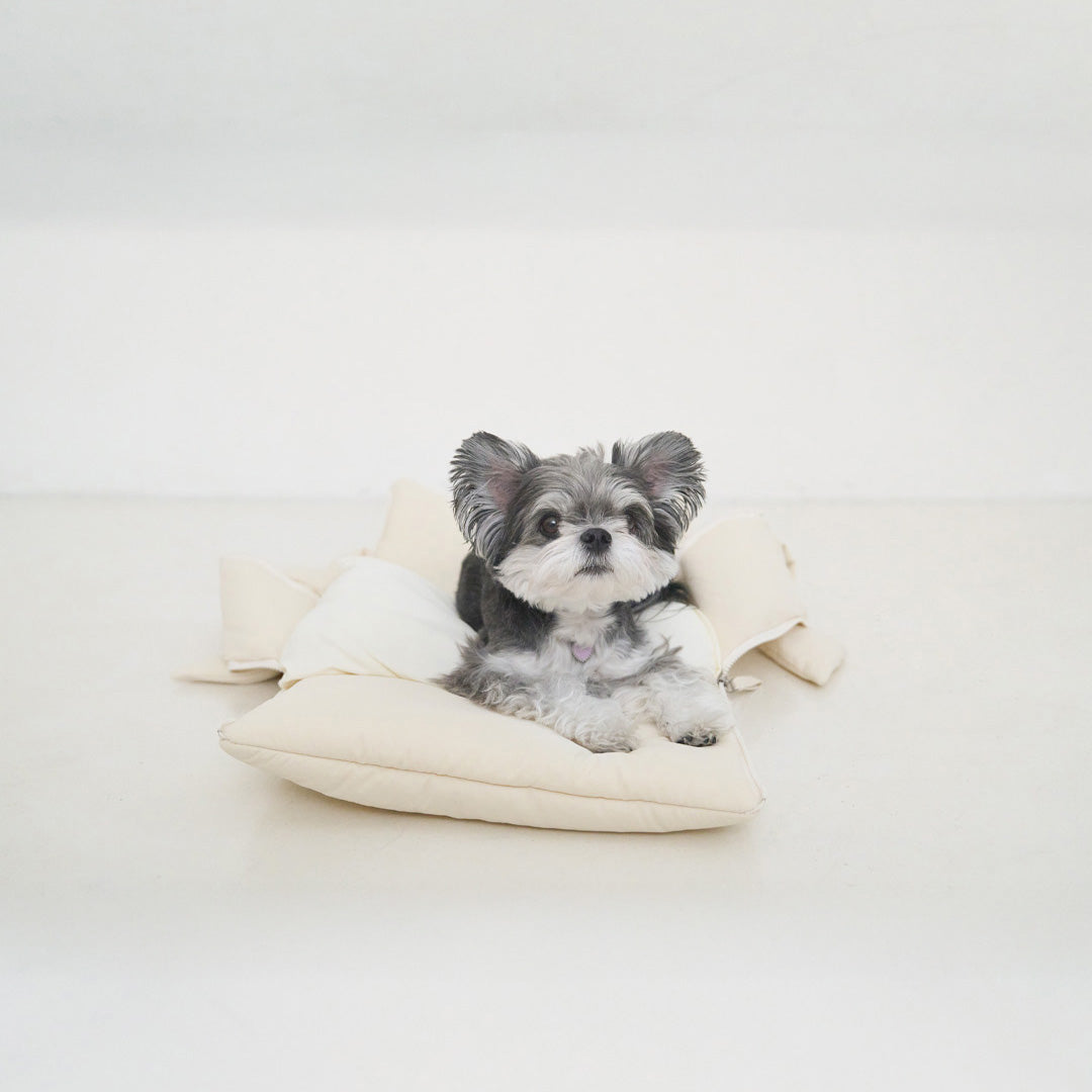 【予約】open bag - ivory [APERTY]