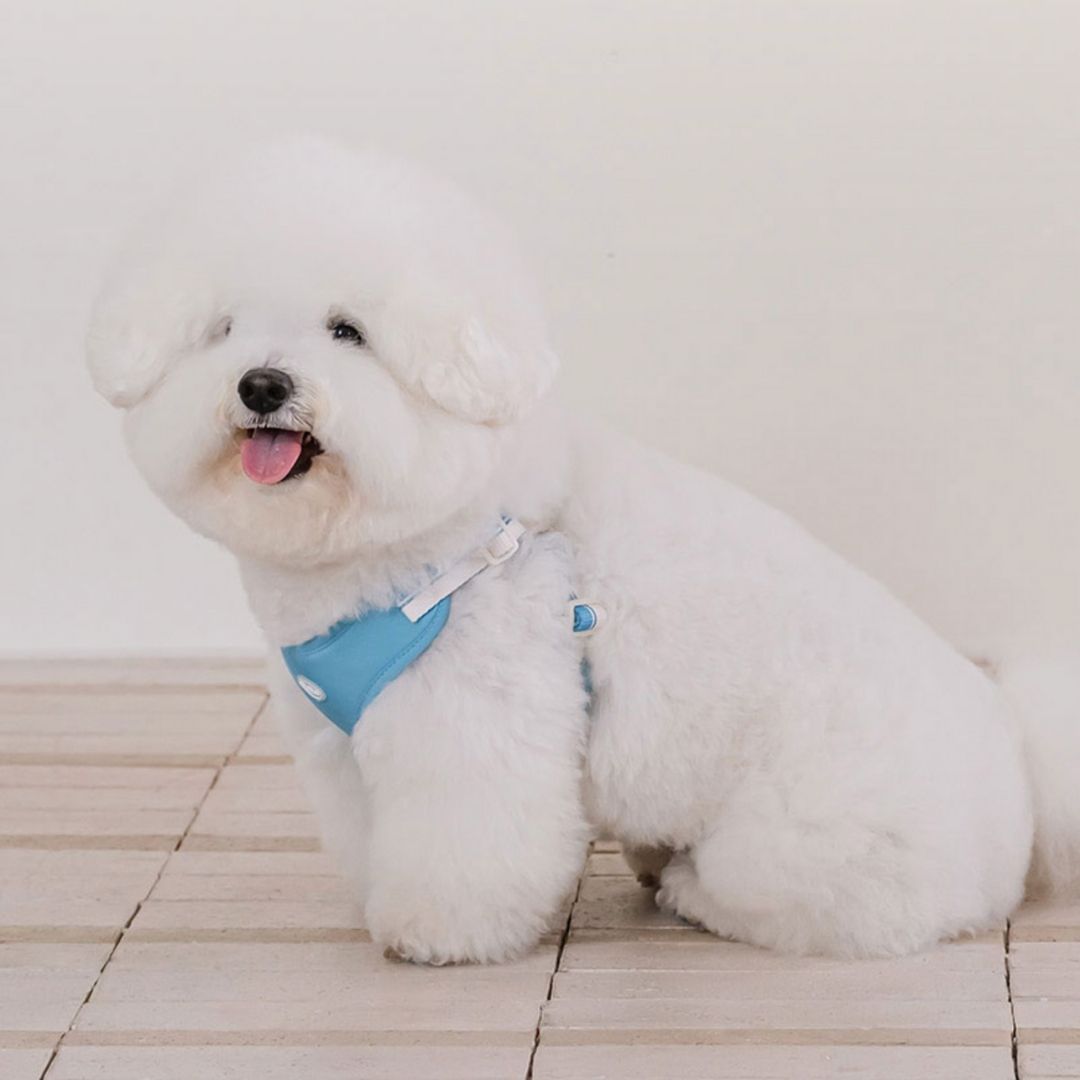 【 likalika 】breeze walk harness（3color）