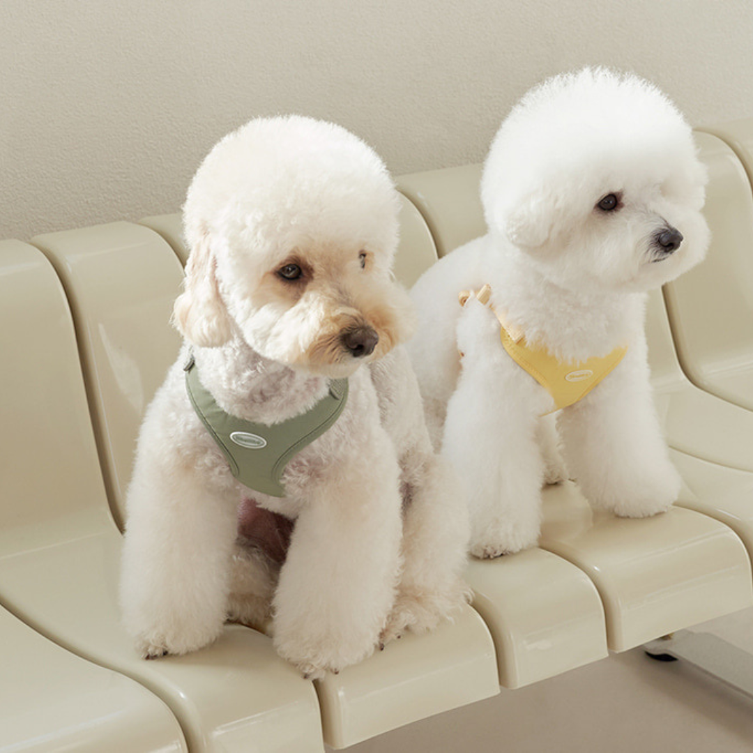 【 likalika 】cotton candy harness（4color）