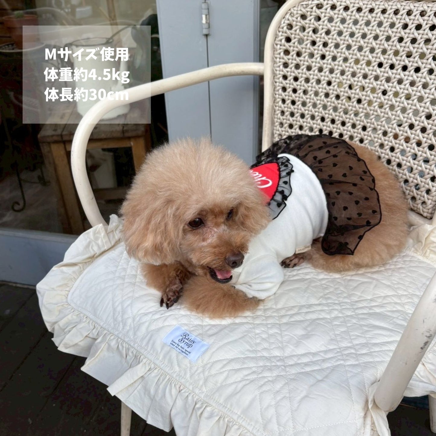 Rainy Syrup french frill cafe mat